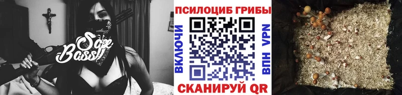 закладки  Салават  Галлюциногенные грибы прущие грибы 